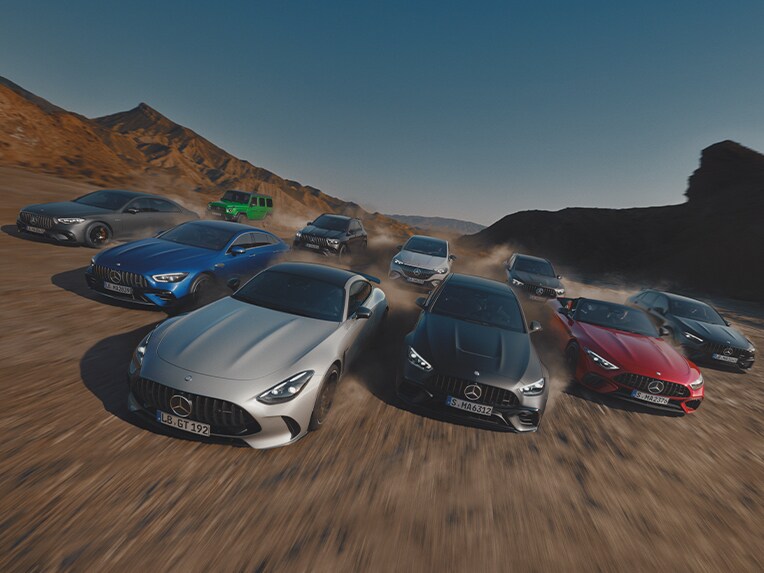 Una foto di gruppo dei modelli Mercedes-AMG.