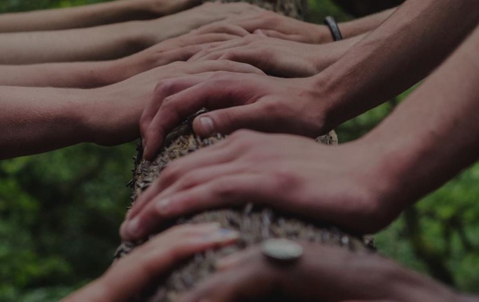 CSR | Mercedes-Benz Mani su un tronco con sullo sfondo della vegetazione
