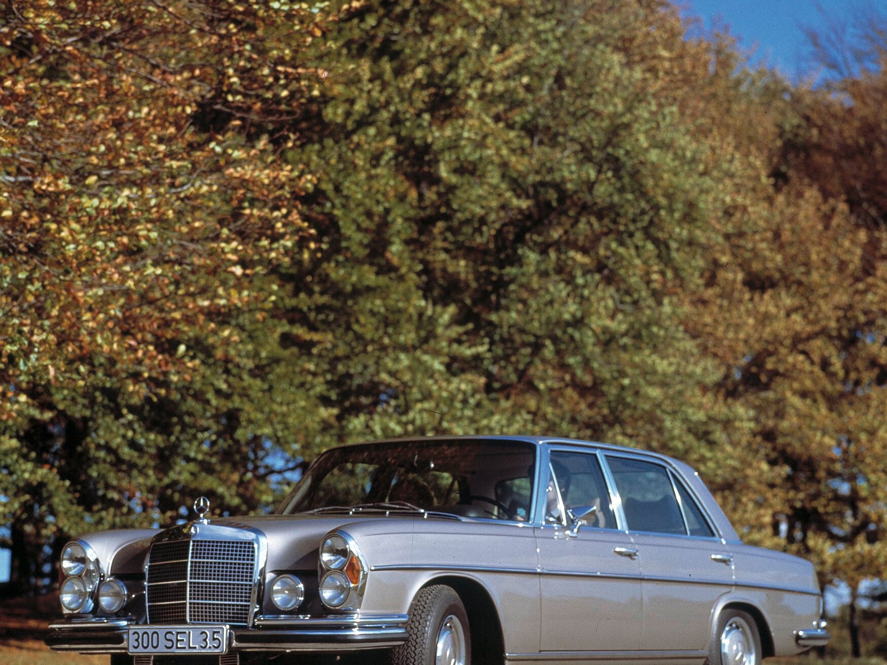 La Mercedes-Benz Typ 300 SEL 3.5 con sullo sfondo degli alberi