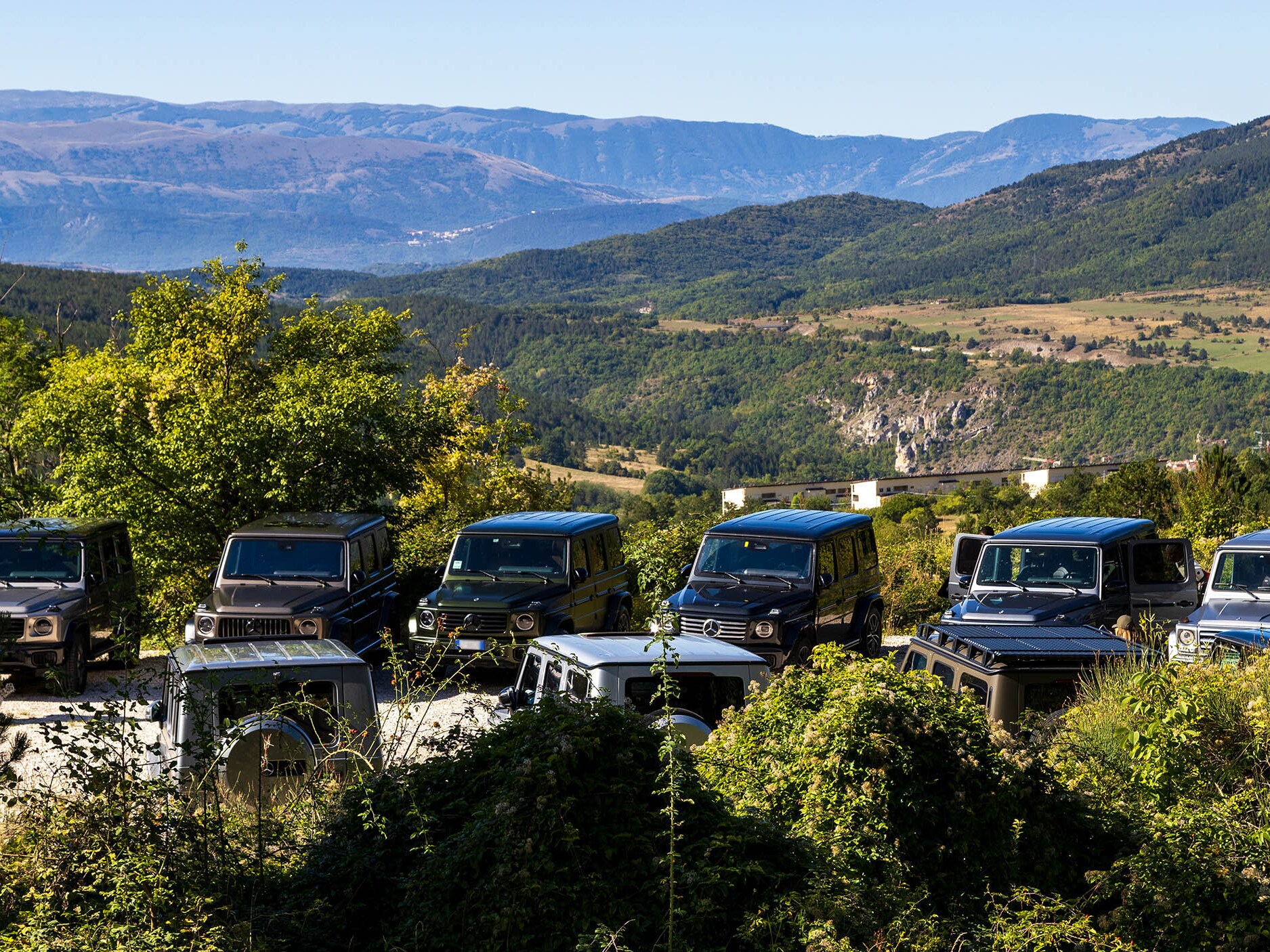 Diversi tipologie di caviale