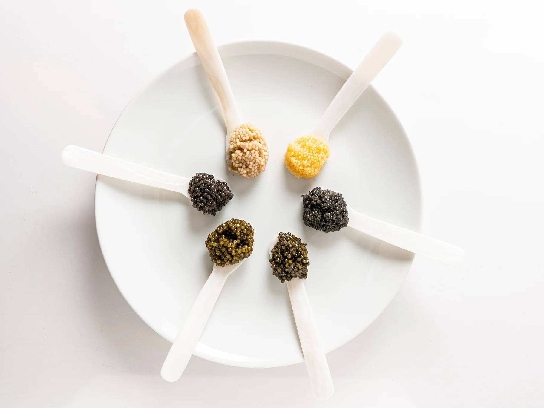 GOT Caviar| Mercedes-Benz Preparazione del caviale