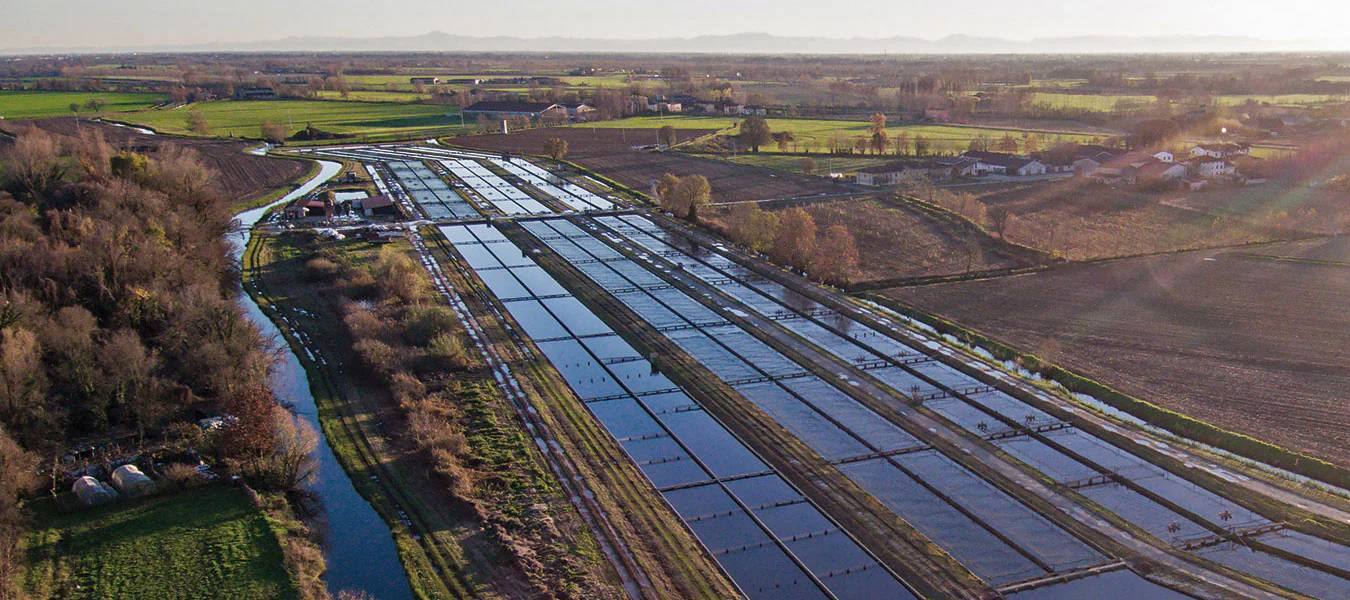 GOT eventi | Mercedes-Benz Gli allevamenti di caviale