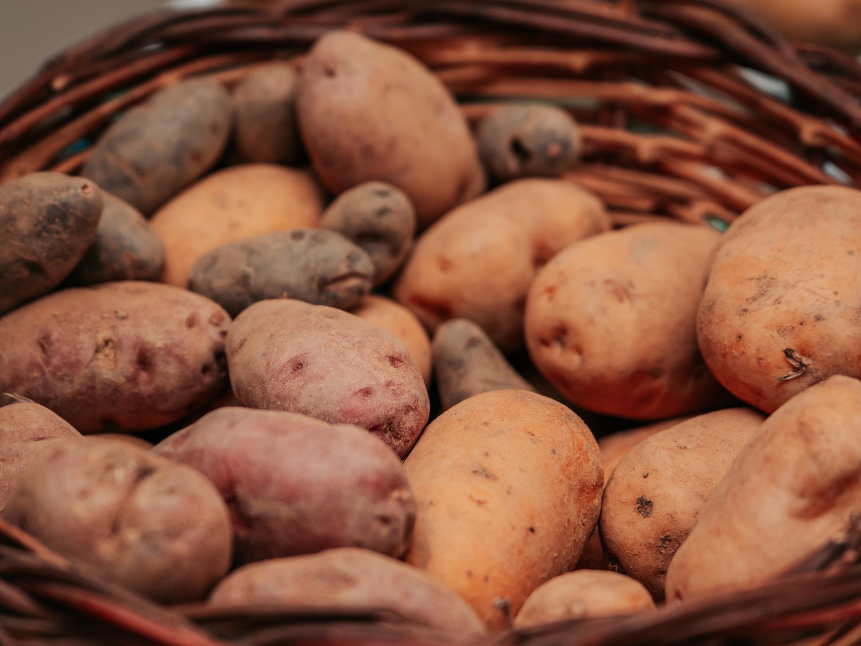 Patate