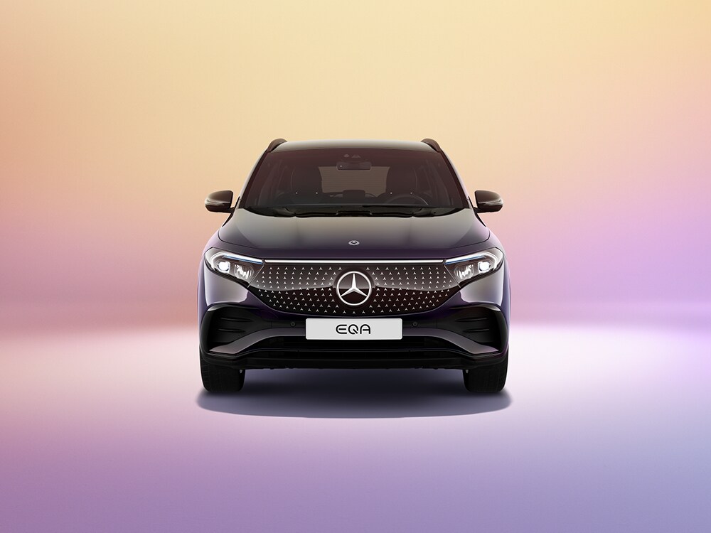 Gamma Mercedes-Benz elettriche